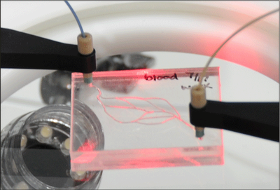 Air bubbles and microfluidics, how to deal with it - Elveflow
